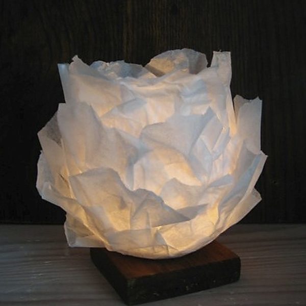 Rosa blanca